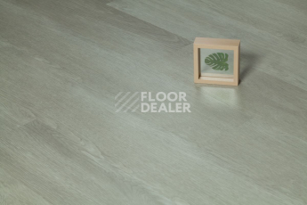 Tarkett Funky House CRUZE фото 4 | FLOORDEALER